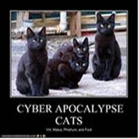 Cybercat's Photo