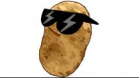 potato-man's Photo