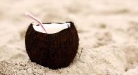 Coconut's Photo