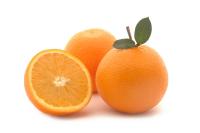 Orange orange's Photo