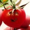 i hate tomatoes's Photo